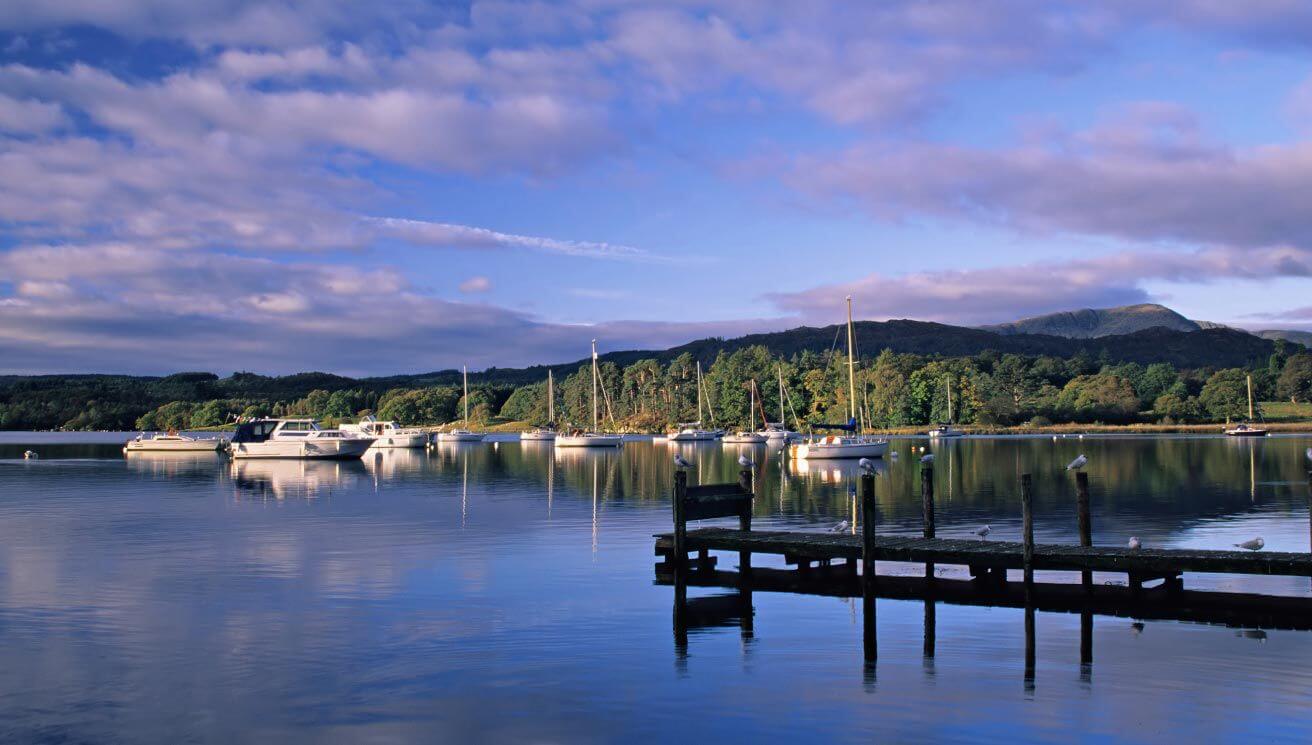 discover white cross bay